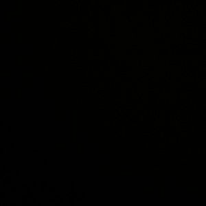 Meet your Posher, Leon